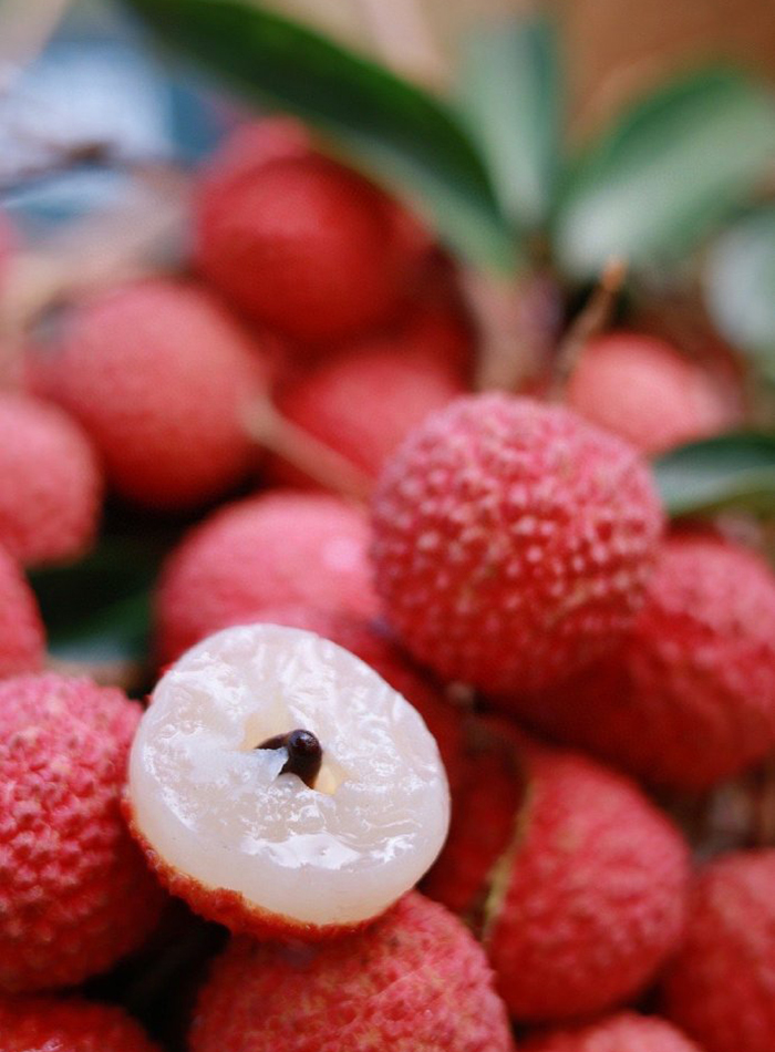 科技賦能農業(圖2)