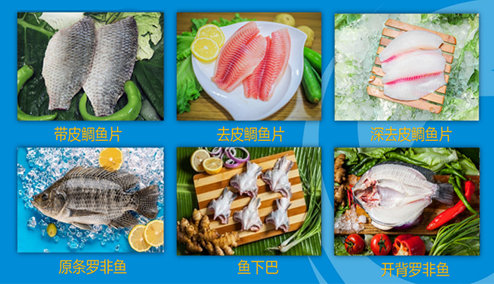 科技賦能農業(圖11)