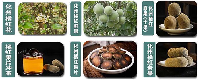 科技賦能農業(圖9)