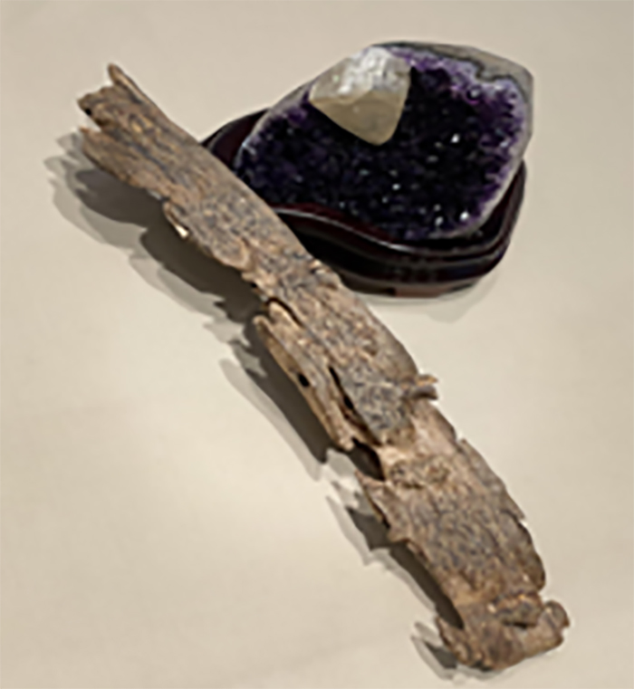 科技賦能農業(圖6)