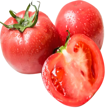 科技賦能農業(圖27)