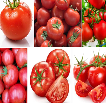 科技賦能農業(圖28)