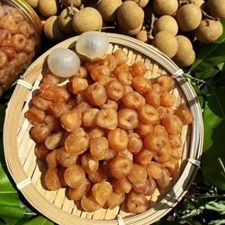 科技賦能農業(圖9)