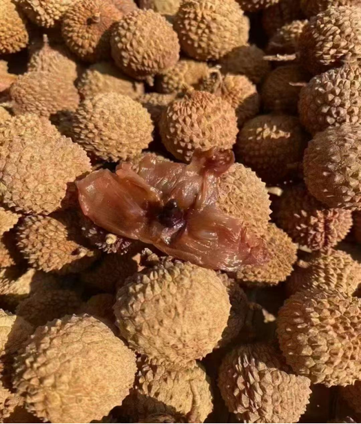 科技賦能農業(圖4)