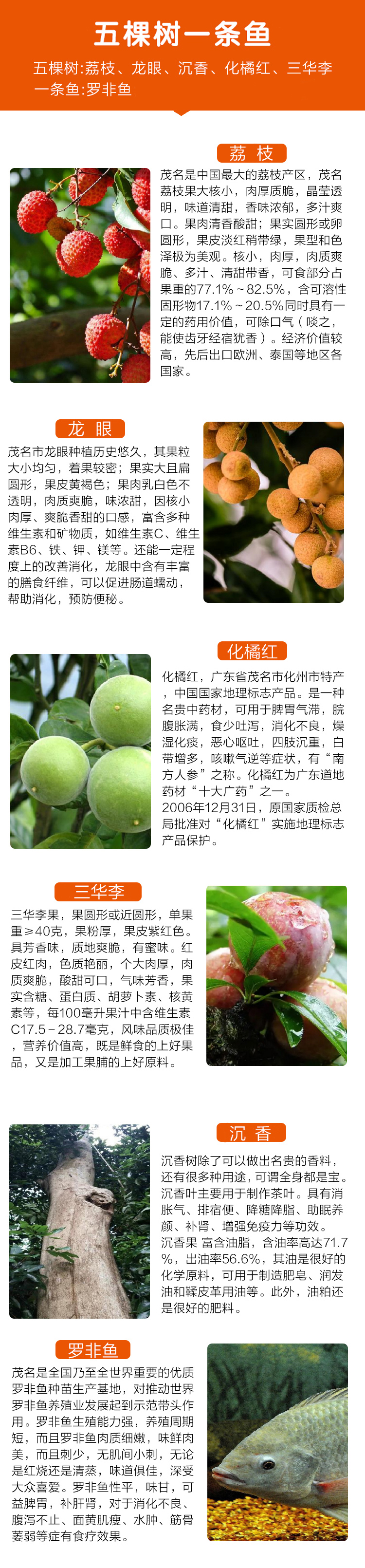 五棵樹一條魚(圖1)